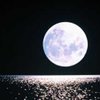 Ученые считают, что на Луне необходимо создать хранилище ДНК