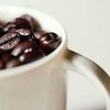 Бактерии помогут выращивать бескофеиновый кофе