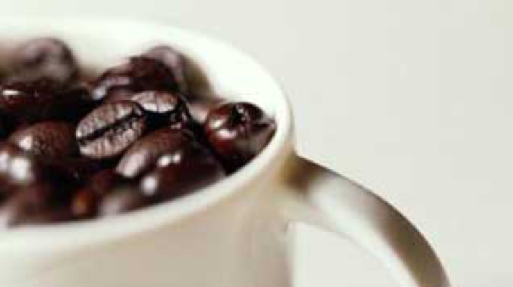 Бактерии помогут выращивать бескофеиновый кофе