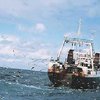 ООН вводит мораторий на придонный лов рыбы в открытом океане