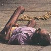 ФАО: На Земле более 850 миллионов человек страдают от голода