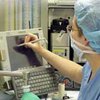 Американцы определились, кто на свете всех честнее