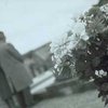 Донецкая область лидирует по показателям детской смертности