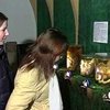 Назидательная выставка "ужастиков" открылась в Житомире