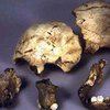 Кости древнего человека найдены на территории Львовской области