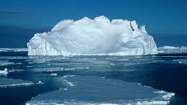 Крупные айсберги появились у берегов Новой Зеландии