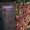 В Великобритании закрывается знаменитый детский приют Strawberry Field, воспетый "Битлз"