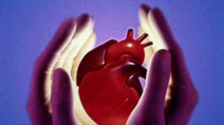 Британские ученые будут лечить мигрень, исправляя порок сердца