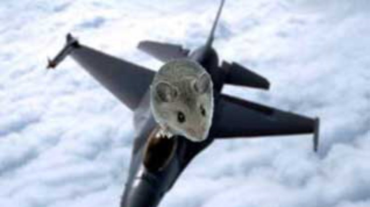 Голландские мыши зимовали в истребителях F-16