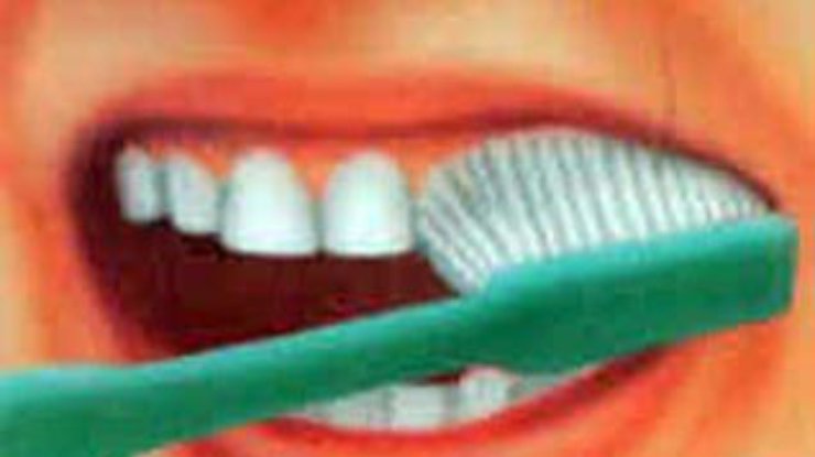 Чтобы стать стройным, достаточно чистить зубы 3 раза в день