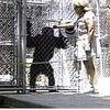 Работники калифорнийского зоопарка расстреляли взбесившихся шимпанзе