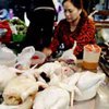 Во Вьетнаме у медсотрудников обнаружен "птичий грипп"