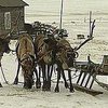 В Ямале открылся отель с парковкой для оленей