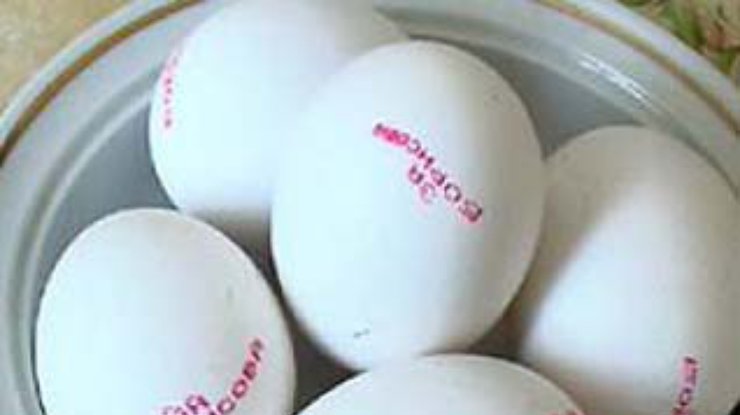 В России появились в продаже яйца с предвыборной агитацией
