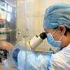 Ученые нашли новый белок, не дающий человеку толстеть