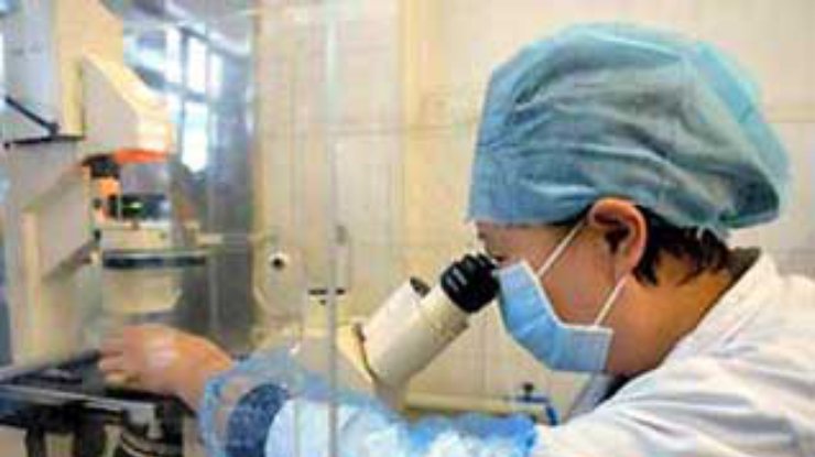 Ученые нашли новый белок, не дающий человеку толстеть
