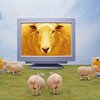 Десять самых смешных первоапрельских новостей мировых СМИ