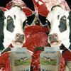 Молоко и мясо клонированных животных снова признаны безопасными