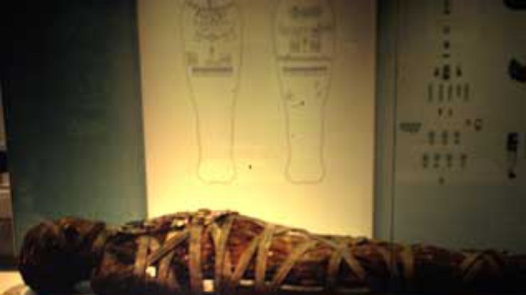 В Египте нашли мумию, которой 2,5 тысячи лет