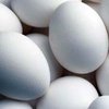 Решена загадка "стоящего яйца"