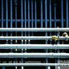 Американцы передают данные по газопроводу