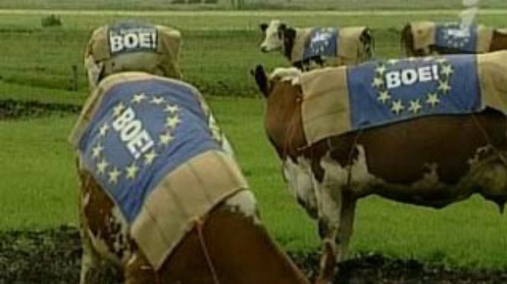 Коровы против евроконституции