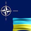 Бутейко: Уменьшение сторонников членства Украины в НАТО связано с необъективностью информации