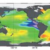 Мировой океан превращается в смертоносную кислоту