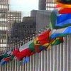 ООН разработала 4 сценария коллективного управления Интернетом