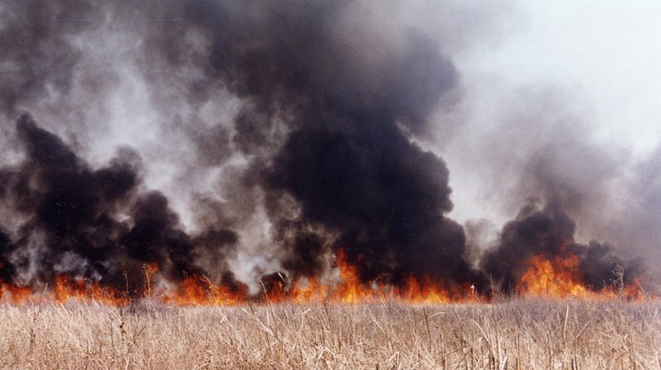 Пожарный танк ликвидирует пожар в Новобогдановке