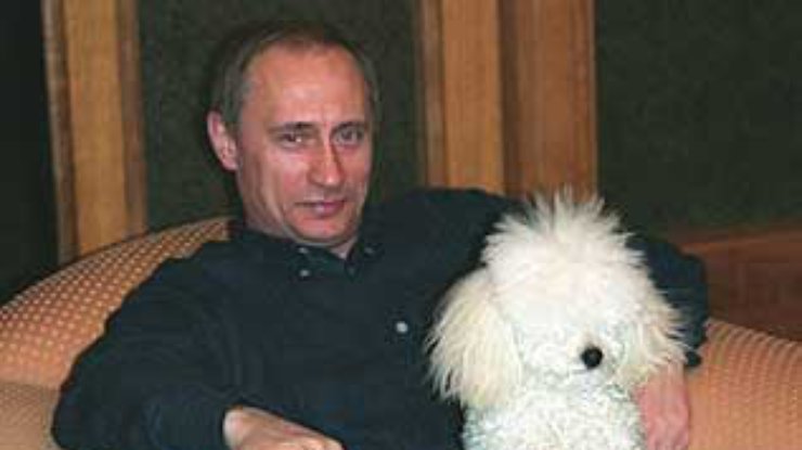 Дочери Путина поступили в университет