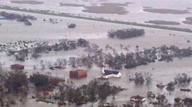 После урагана Katrina ждут эпидемий, нашествий змей и аллигаторов