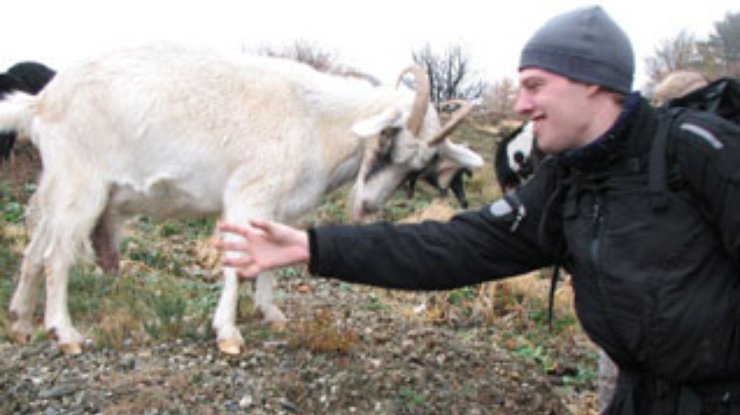 Белорусских коз "очеловечат"