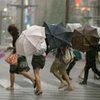 Число жертв тайфуна "Дэмри" в Китае возросло до 16 человек