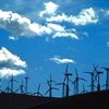 Ветряные электростанции остановят по просьбе экологов