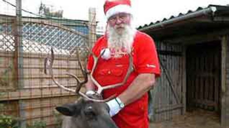 ВВС Дании выплатили Санта-Клаусу компенсацию за оленя