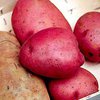 Ученые нашли прародину современного картофеля