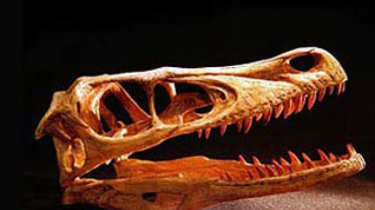 В "Парке Юрского периода" Спилберг оклеветал динозавра