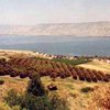 Израиль выделил 50 гектаров для возведения тематического парка о жизни Христа
