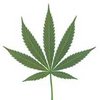 В Грузии могут легализовать марихуану