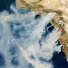 Площадь лесных пожаров в Калифорнии за сутки выросла в несколько раз