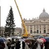 В Ватикане устанавливают огромную рождественскую ель, высотой в 10-этажный дом