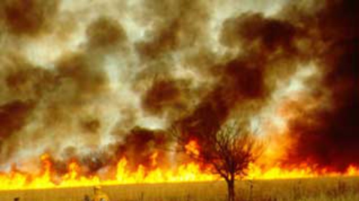 Из-за степных пожаров в столице Оклахомы началась эвакуация