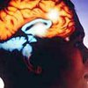 Американские ученые создали детектор лжи, который сканирует мозг при допросе