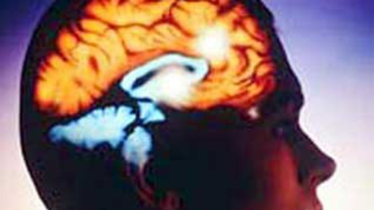 Американские ученые создали детектор лжи, который сканирует мозг при допросе