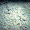 Залежи космической пыли нашли на дне океана