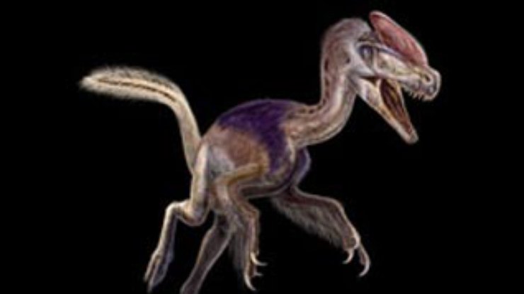 Обнаружен древнейший предок тираннозавра Рекса