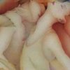 Оргазм вызывает аллергию, похожую на грипп