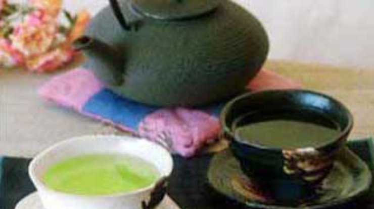 Зеленый чай спасает от старческого слабоумия