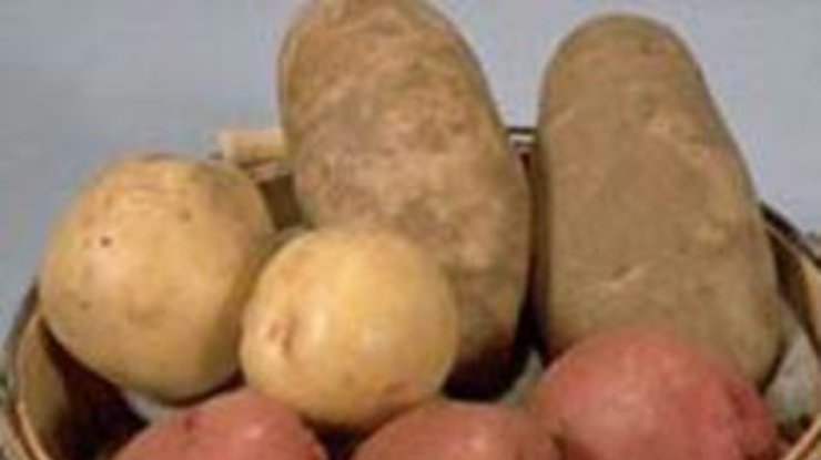 Любительницы картошки имеют повышенный риск диабета